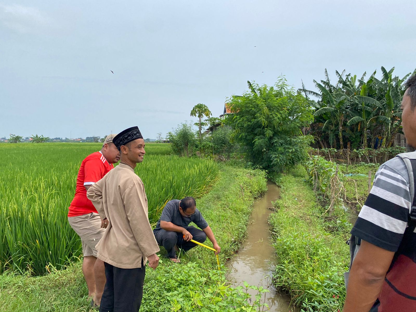 Pengecekan Saluran Irigasi Persawahan